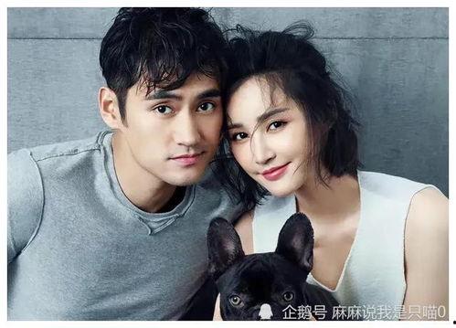 娱乐圈吃瓜爆料七字真言,幕后真相大曝光  第2张