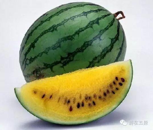 西瓜娱乐吃瓜,揭秘娱乐圈吃瓜群众的狂欢盛宴  第3张