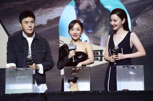 娱乐圈吃瓜汇总TXT,揭秘明星幕后故事与热点事件  第3张