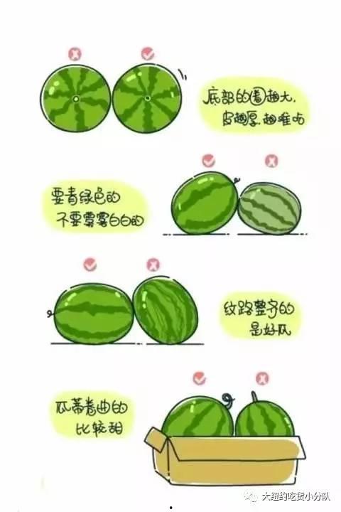 娱乐圈吃瓜的正确方法  第3张