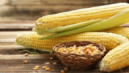 娱乐吃瓜酱玉米视频,娱乐吃瓜酱带你领略趣味横生的娱乐世界  第3张